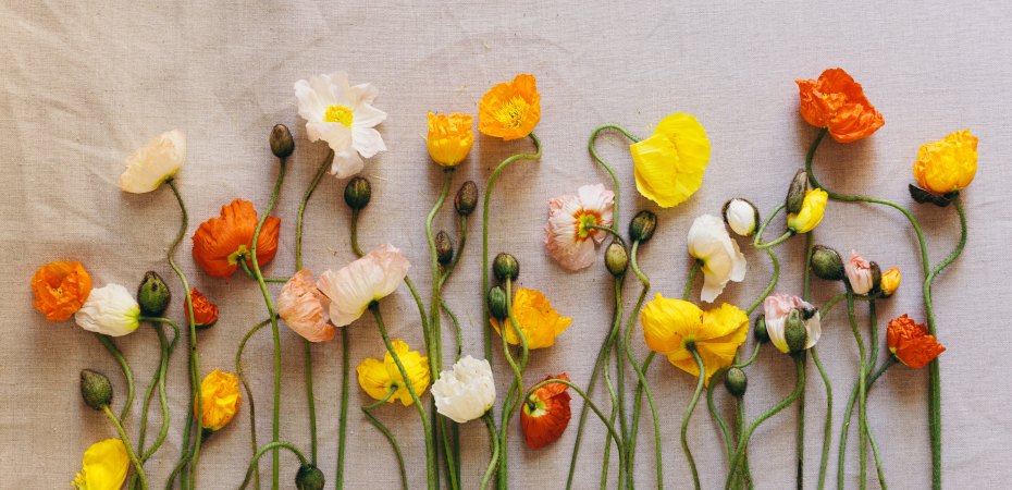 consapevolezza emotiva