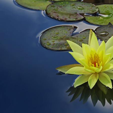 meditazione e rilassamento