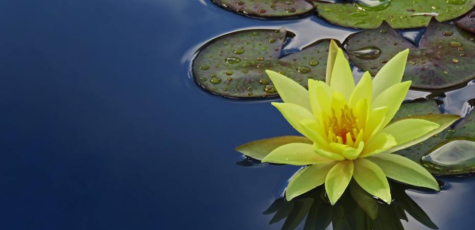 meditazione e rilassamento