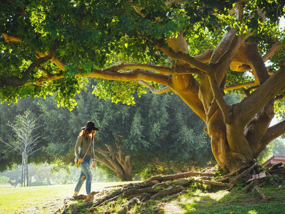 Le sfumature della solitudine