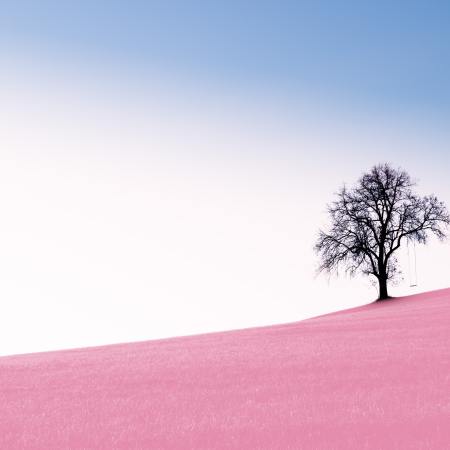 Approccio psicomotorio