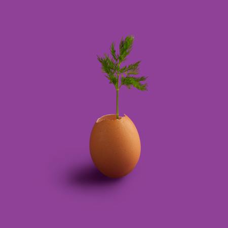 lunadigas donne senza figli