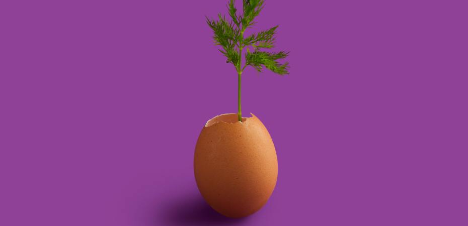 lunadigas donne senza figli