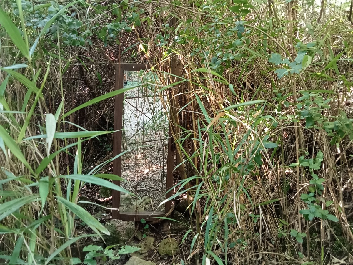 La Tela della Luna: Oltre il Riflesso