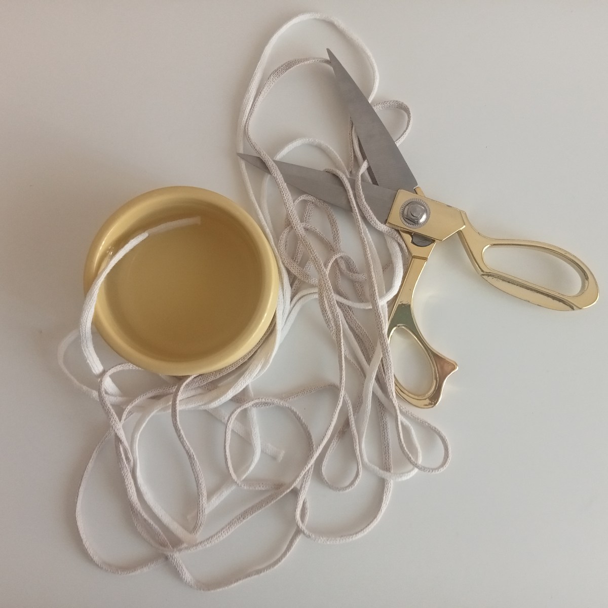 La Tela della Luna: La Rete Invisibile