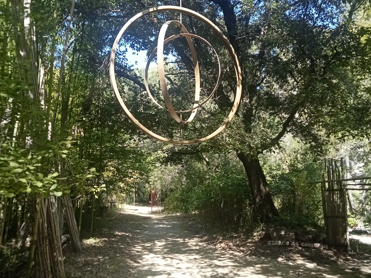 La tela della Luna: il corpo sulla soglia